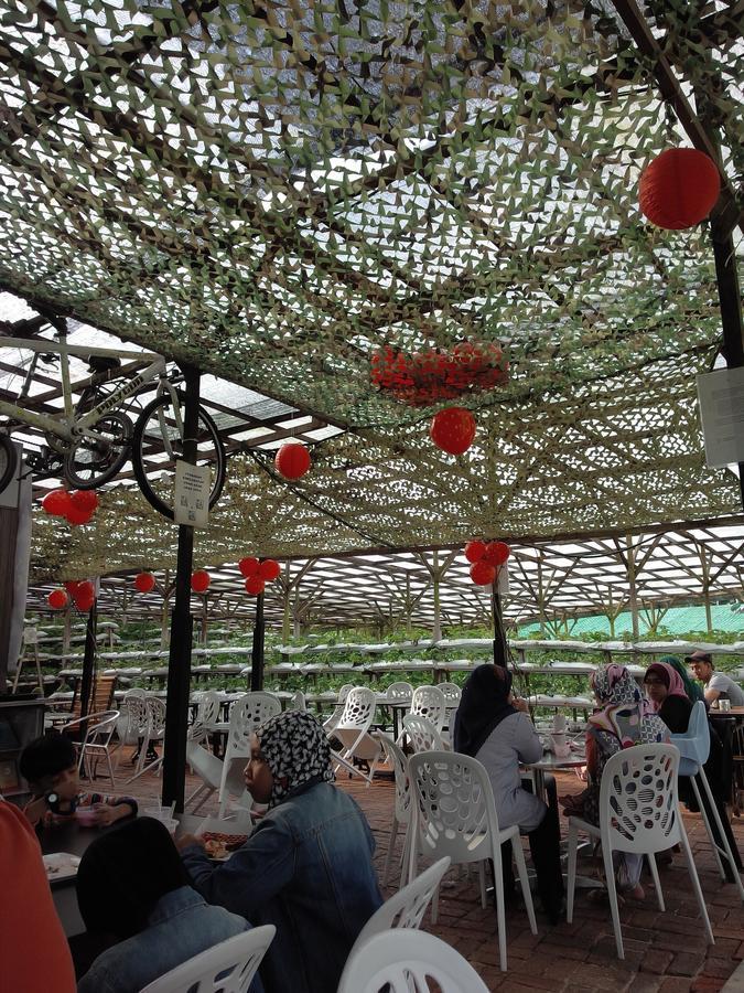 Azizi&Yati Muslim Homestay 金马仑高原 外观 照片